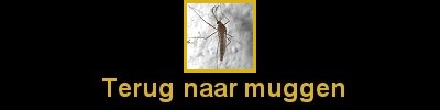 Klik hier om terug te gaan naar de muggenpagina.